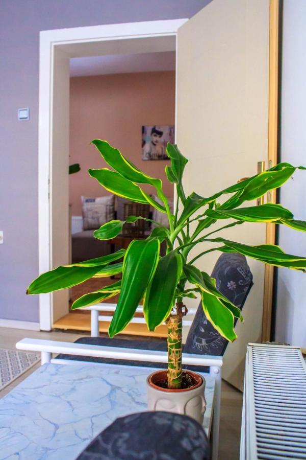 Bb Downtown Apartment Bajina Basta Dış mekan fotoğraf