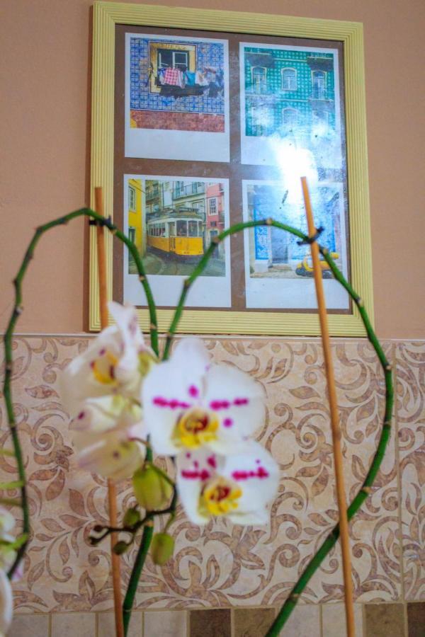 Bb Downtown Apartment Bajina Basta Dış mekan fotoğraf
