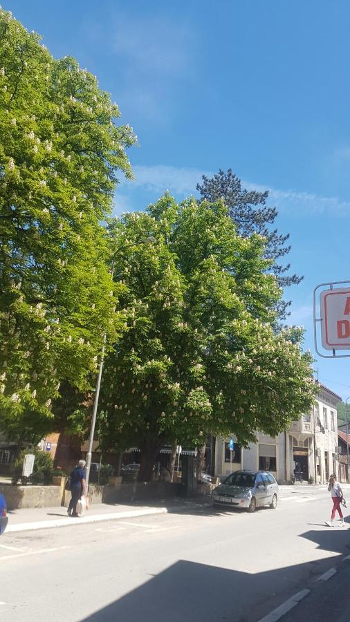 Bb Downtown Apartment Bajina Basta Dış mekan fotoğraf