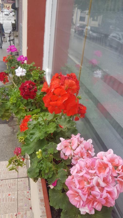 Bb Downtown Apartment Bajina Basta Dış mekan fotoğraf